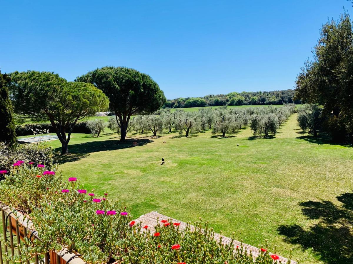 B&B Valle D'Oro Ansedonia Exterior photo